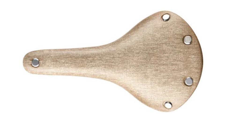 The Cambium is coming