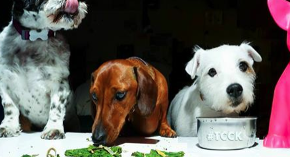Curious Canine Kitchen - Teesdale Street E2 -Saturday & Sunday 11-12 April 2015